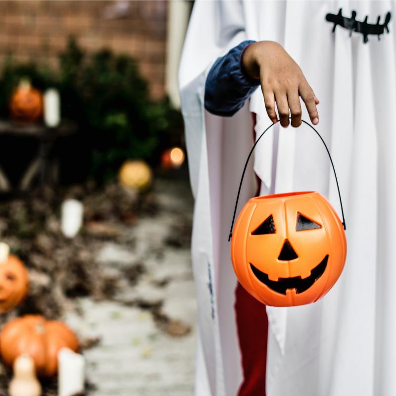 halloween calabaza marinette store