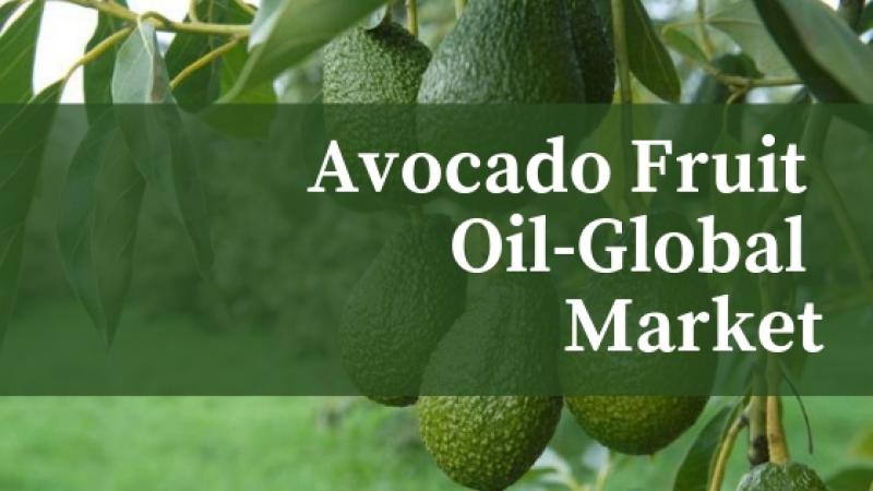 Avocado Fruit Oil Market Overview