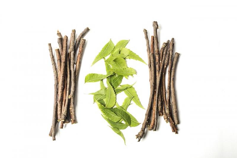 Ayurveda Market