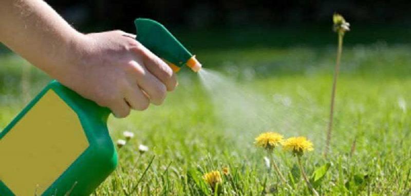 Bioherbicides Market