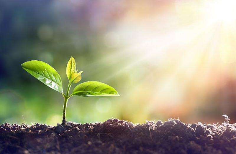 Biostimulants Market 2025