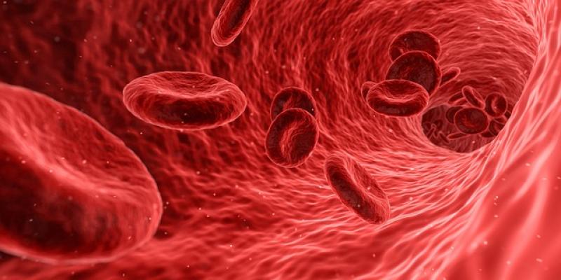 Blood Flow Measurement Devices Market