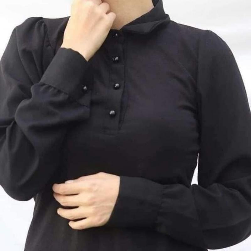 بدى شميز