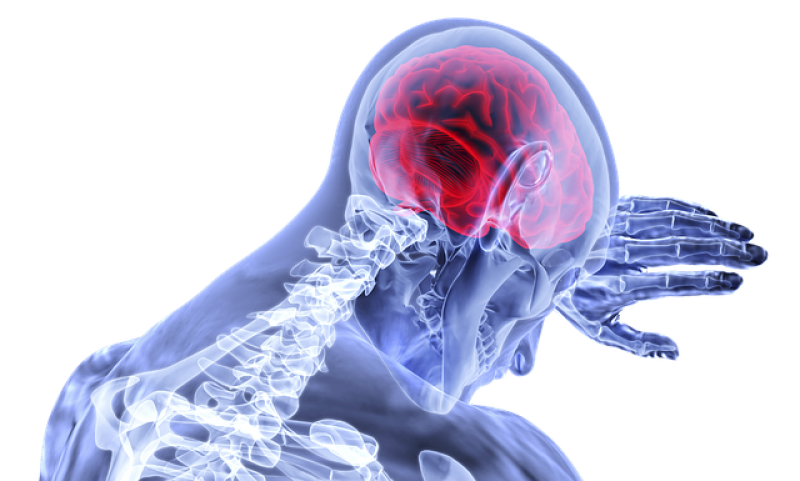 Global Serotonin Syndrome Market 