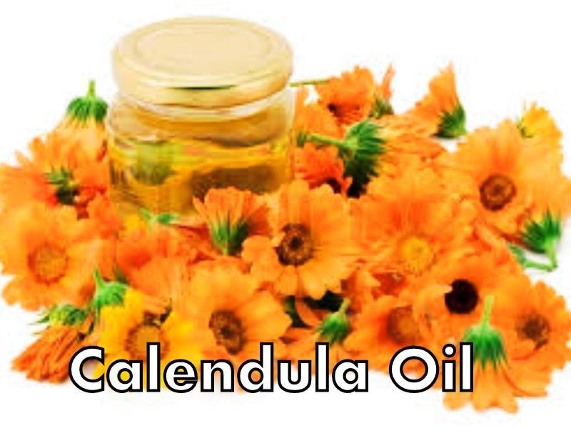 Calendula Oil Market