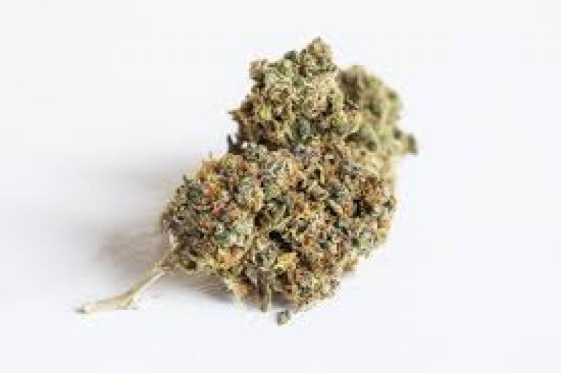 U.S. Medical Cannabis Market Size Worth USD 19.48 Billion By 2024 U.S. Medical Cannabis Market