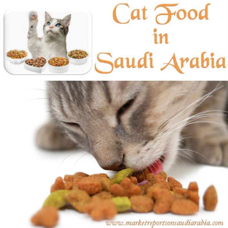 Cat Food