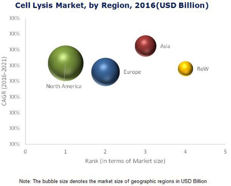 Cell Lysis Market Cell Lysis Market