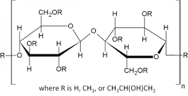 Hydroxypropyl Methylcellulose Market