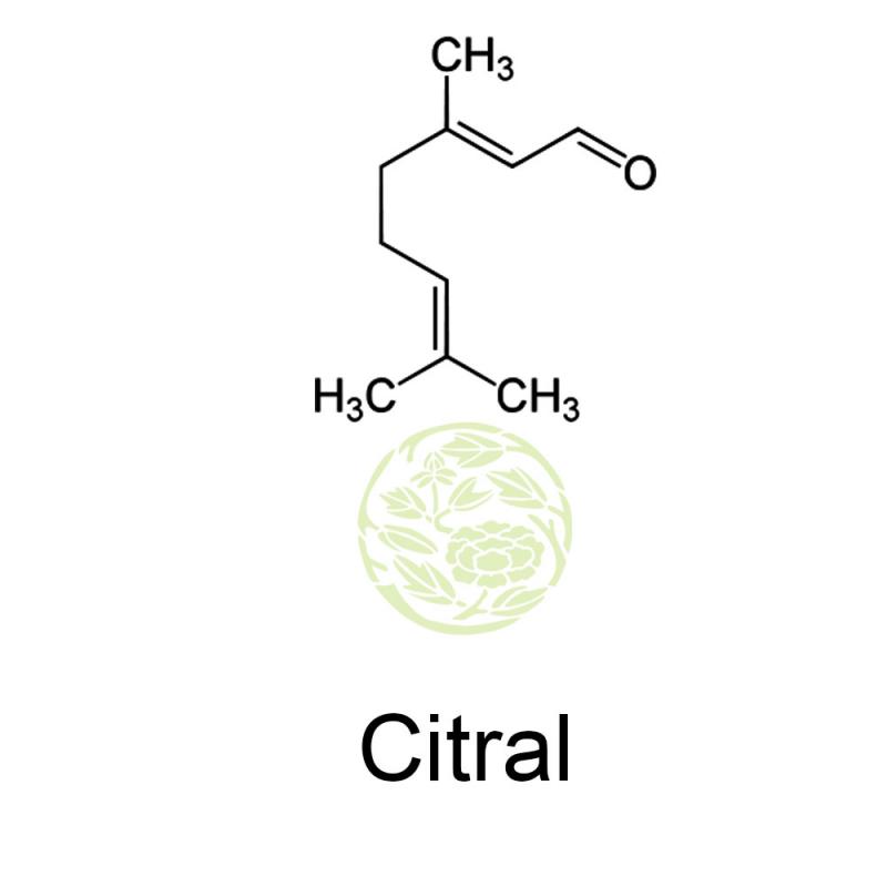 Citral Citral market