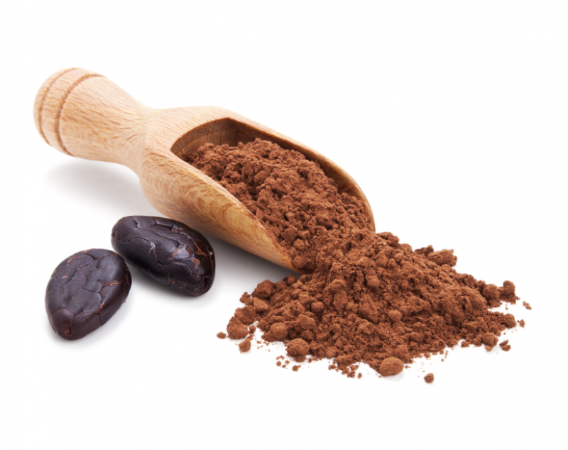 Cocoa Powder Industry