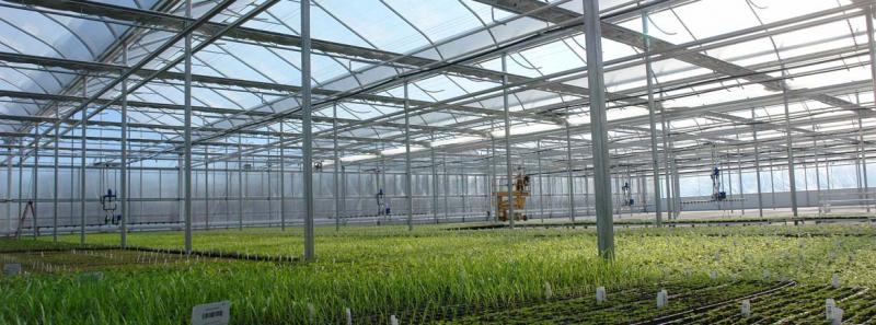Commercial Greenhouse Market 2020-2025