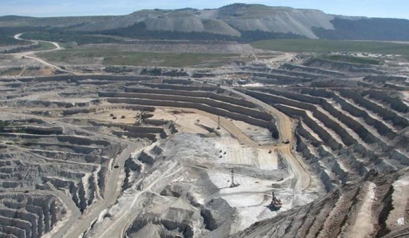 The Business Research Company