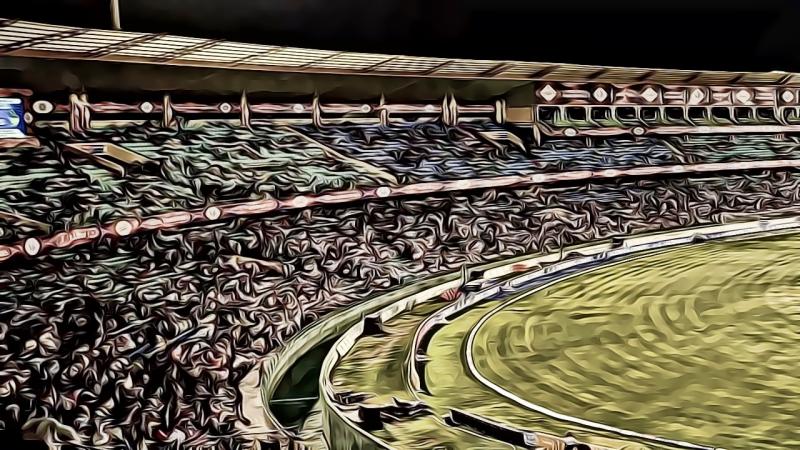 cricket sports betting