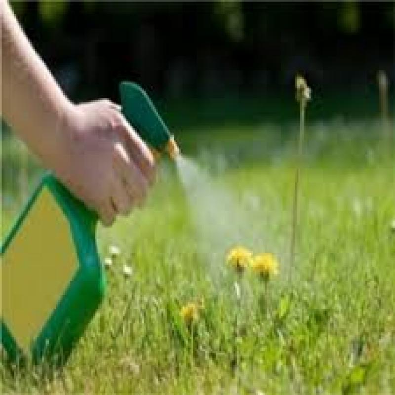Crop Protection Chemicals Market