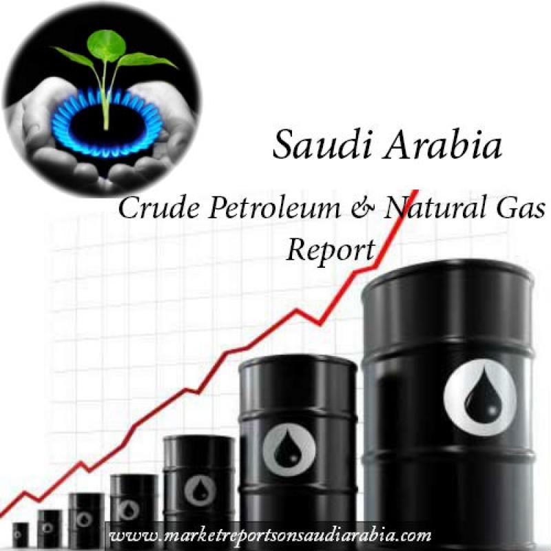 Crude Petroleum and Natural Gas