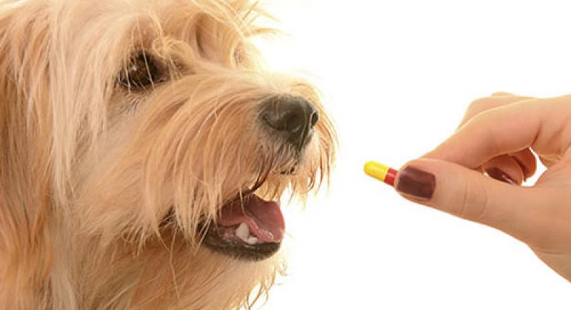 Pet Clinics in Malad West, Mumbai