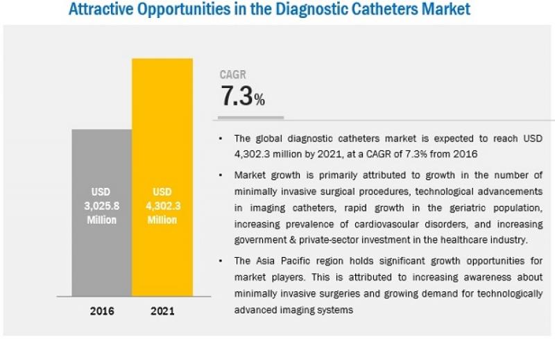 Diagnostic Catheter Market
