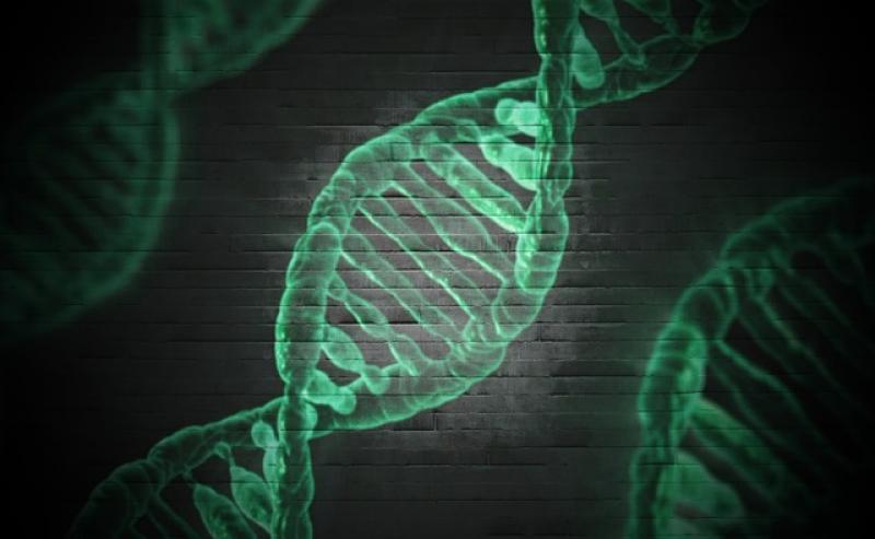 DNA Sequencing Market