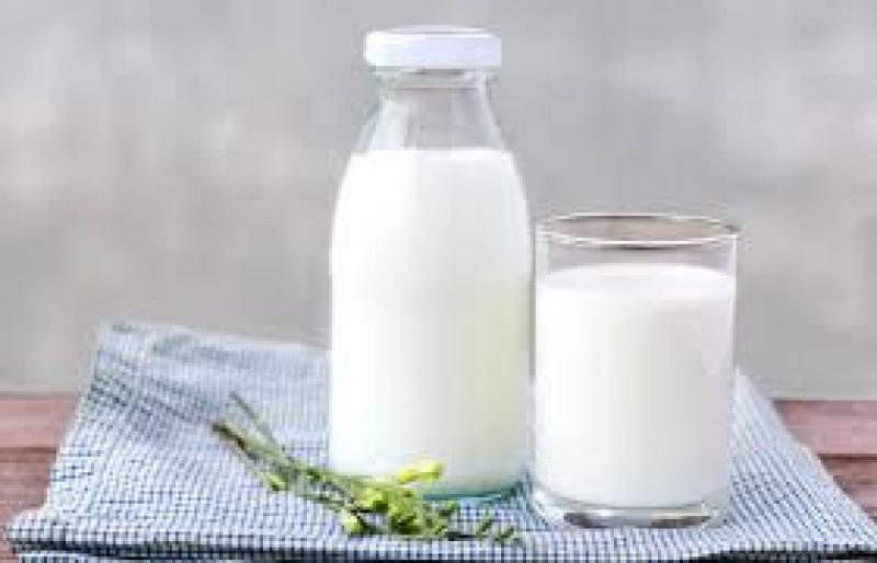 Latam Dairy Market Industry Trends, Report and Forecast 2019-2024