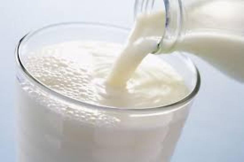 Europe Dairy Market Trends, Size, Share, Price, Industry, Forecast, Outlook & Report 2019-2024