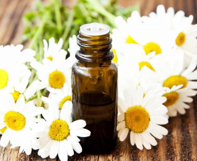 Chamomile Essential Oil Chamomile Essential Oil market