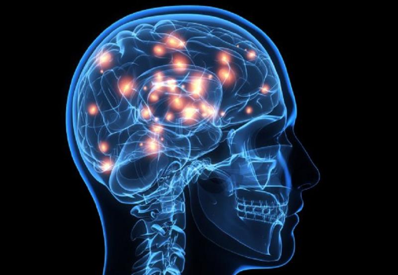 fNIRS Brain Imaging System Industry