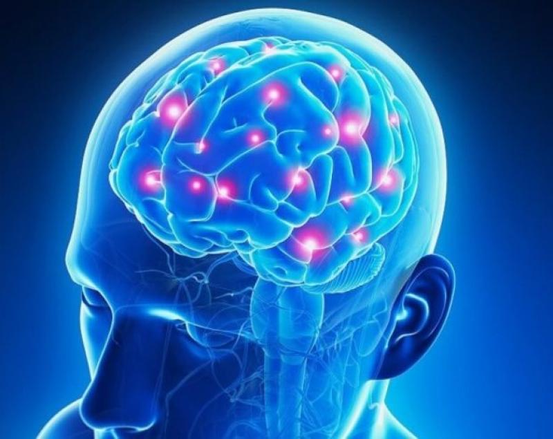 fNIRS Brain Imaging System, fNIRS Brain Imaging System Market, fNIRS Brain Imaging System Market Growth