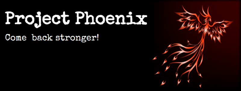 Project Phoenix Emotional Intelligence Training