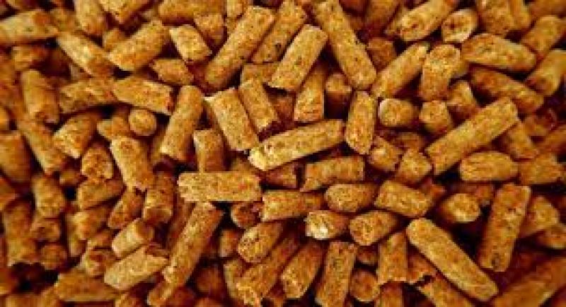 Animal Feed Enzymes Market 