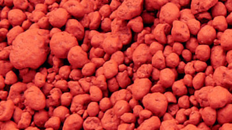 Feed Pigment Market 2020-2025