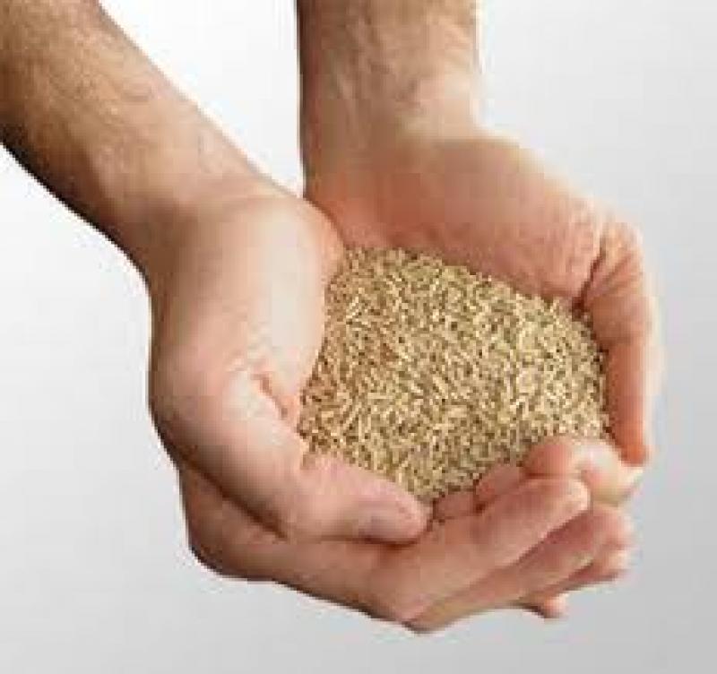 Feed Premix Market
