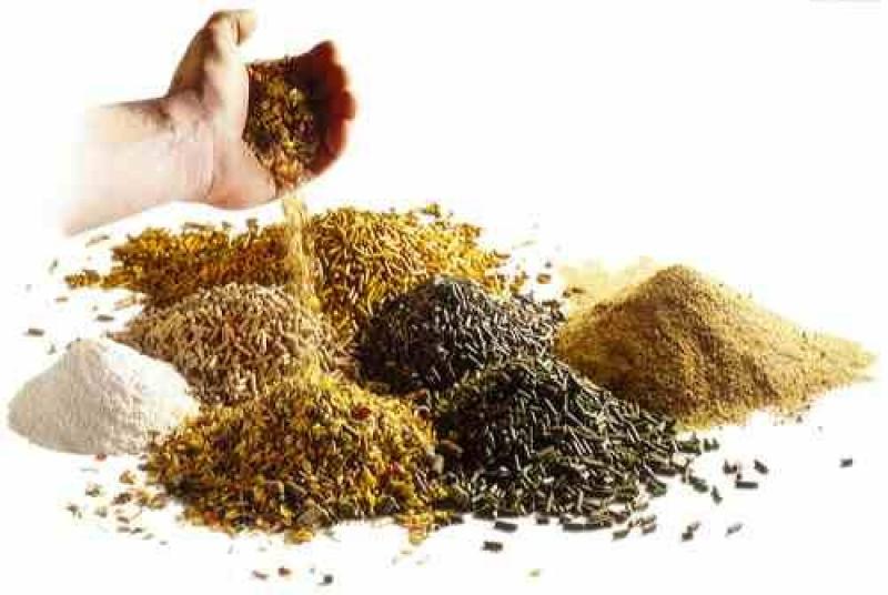 Feed Premix Market
