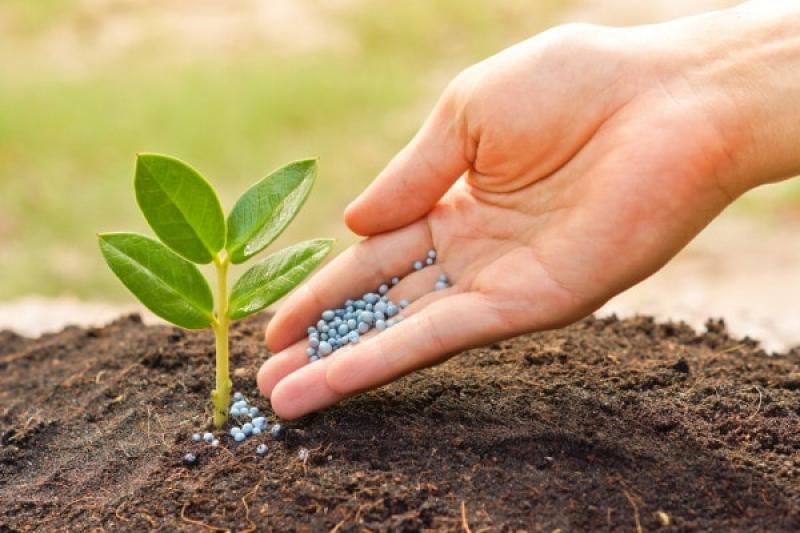 Fertilizer Additives Market