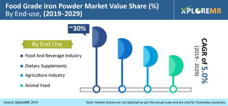 Food Grade Iron Powder Market