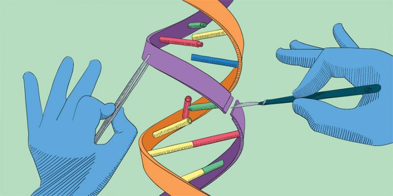 Gene Editing Market 