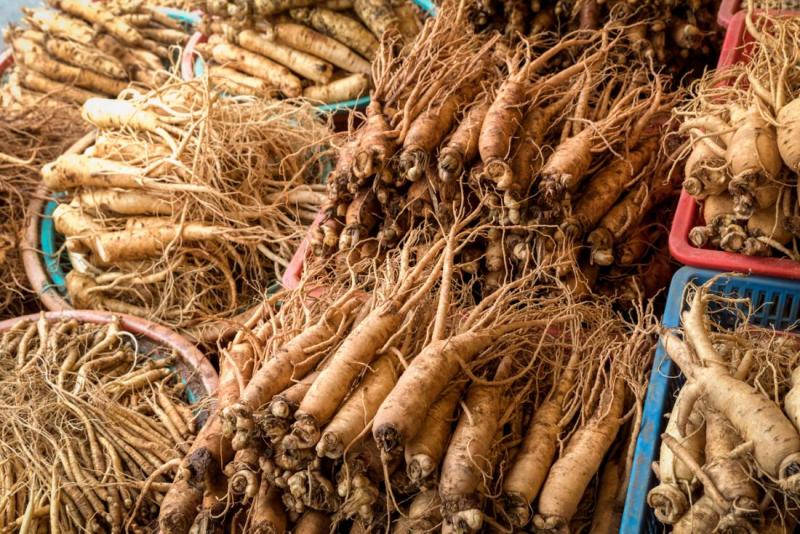 Ginseng Market