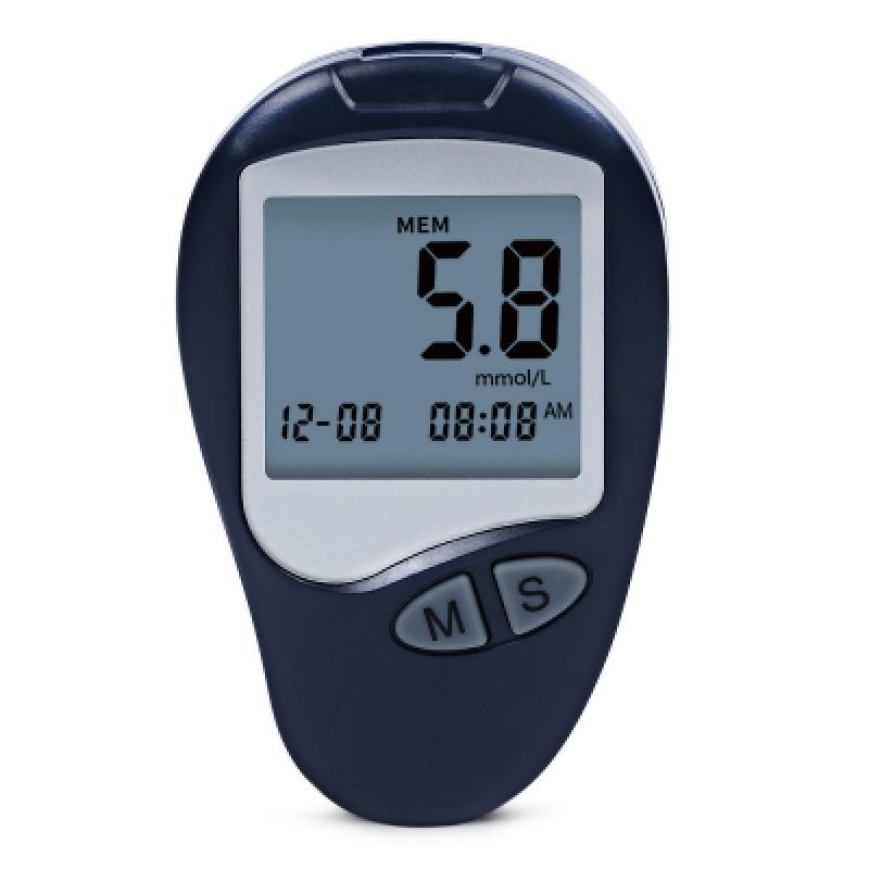 Global Blood Glucose Monitoring System Market