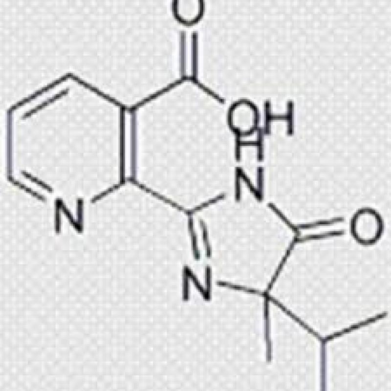 Global Malic Acid Market Global Malic Acid Market