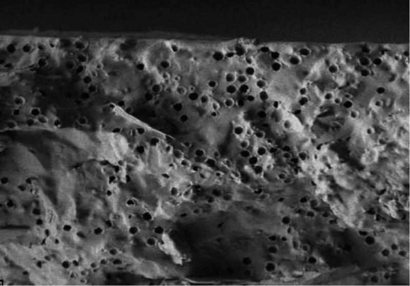 global Opaque Polymers market