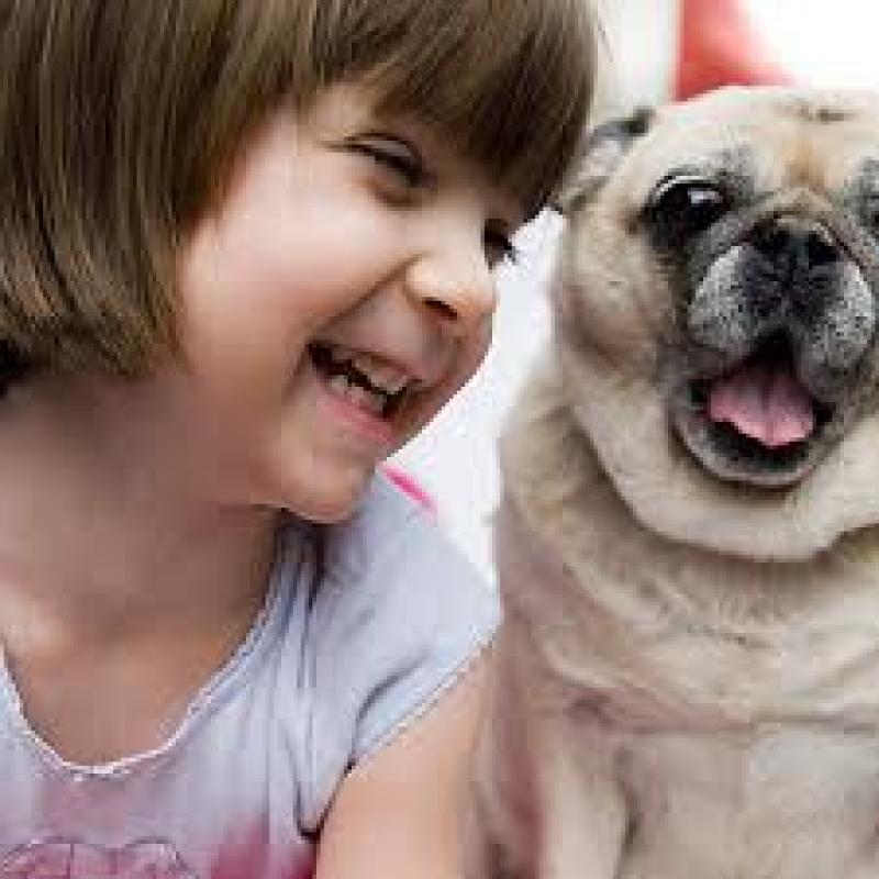 Global Pet Insurance Market