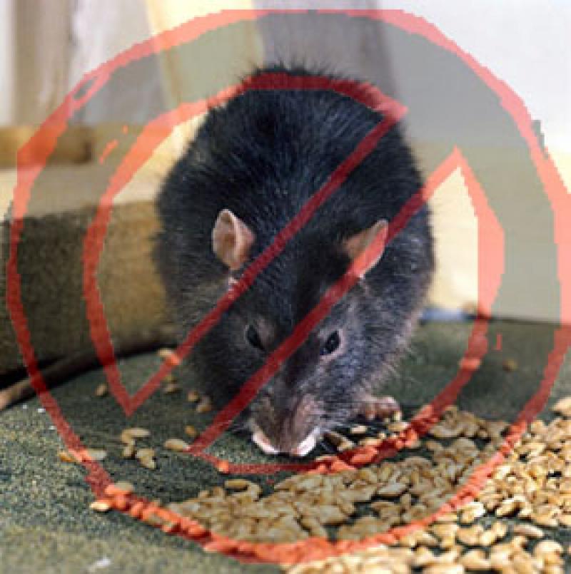 Global Rodenticides Market