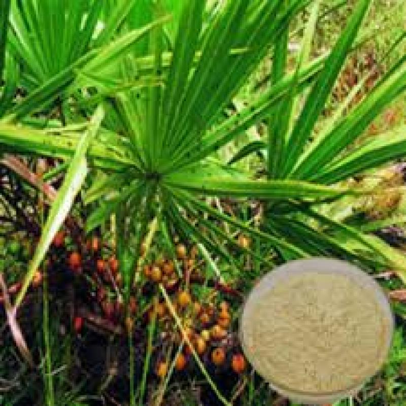 Global Saw Palmetto Extracts Market