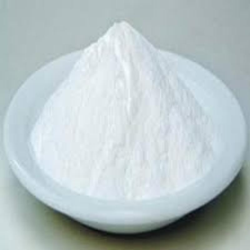 Global Sodium Bicarbonate Market
