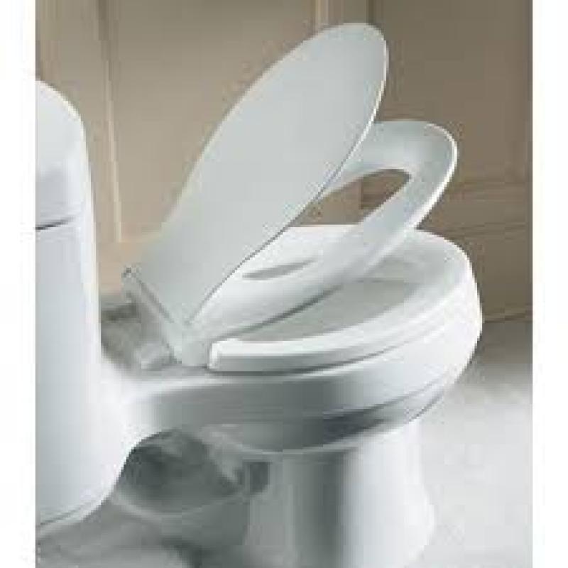 Global Toilet Seat Market
