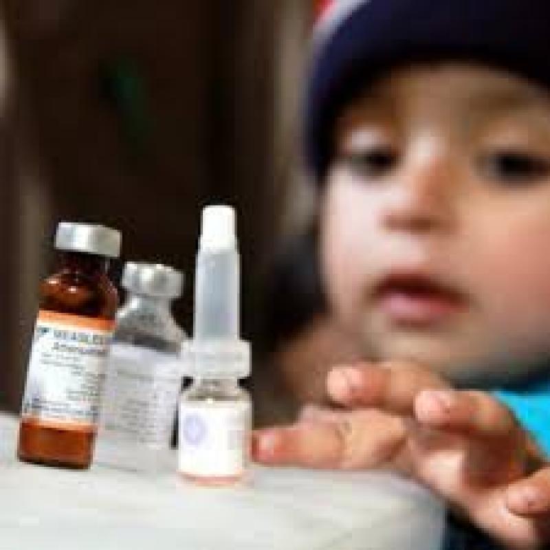 Global Vaccine Adjuvants Market Global Vaccine Adjuvants Market