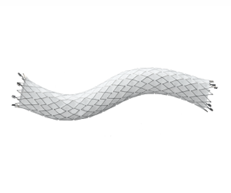 Global Vascular Stent Market