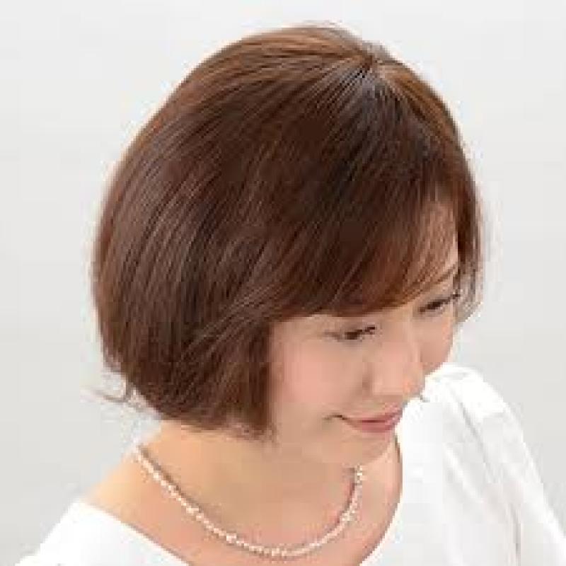 Global Wig Market