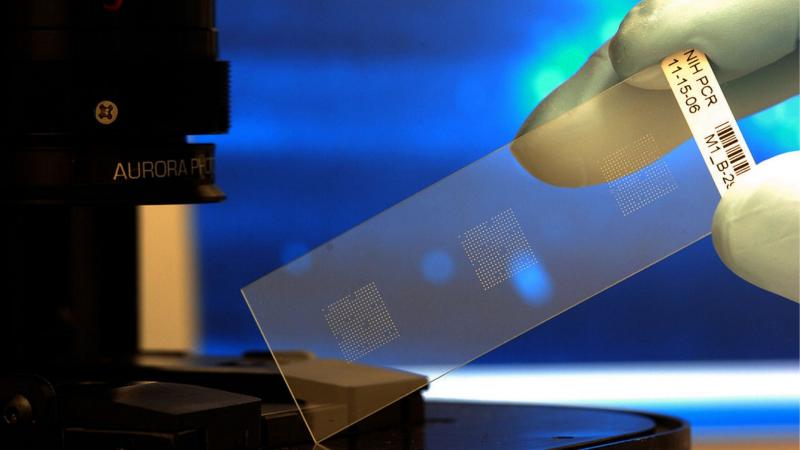 Global Biochips Market