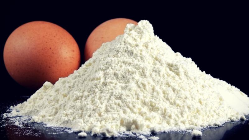 Global Yolk Protein Powder Industry